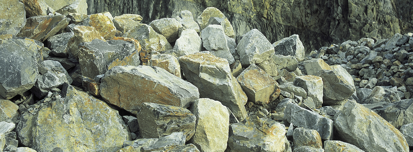 A pile of boulders.